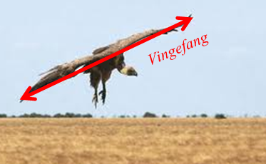 Hjælp