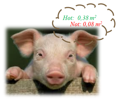SP 1010141312.PNG
