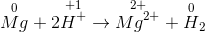 \overset{0}{Mg}+2\overset{+1}{H^{+}}\rightarrow \overset{2+}{Mg^{2+}}+\overset{0}{H}_{2}