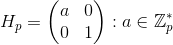 H_p=\begin{pmatrix} a & 0\\ 0 & 1 \end{pmatrix}: a\in \mathbb{Z}_p^*