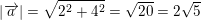 \small \left |\overrightarrow{a} \right |=\sqrt{2^2+4^2}=\sqrt{20}=2\sqrt{5}