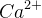 Ca^{2+}