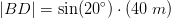 \left | BD \right |=\sin(20^{\circ})\cdot \left ( 40\; m \right )