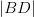 \left | BD \right |