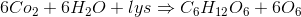 6 Co_{2}+6 H_{2}O + lys\Rightarrow C_{6}H_{12}O_{6}+6 O_{6}