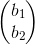 \begin{pmatrix} b_1\\b_2 \end{pmatrix}
