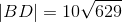 \left | BD \right |=10\sqrt{629}