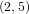 \small (2,5)