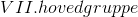 VII. hovedgruppe