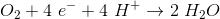 O_2+4\ e^- +4\ H^+\rightarrow 2 \ H_2O