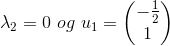 \lambda_2 = 0 \ og \ u_1 = \begin{pmatrix} -\frac{1}{2}\\ 1 \end{pmatrix}
