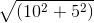 \sqrt{(10^{2} + 5^{2})}