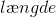 l\ae ngde