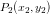 \small P_2(x_2,y_2)