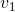 v_{1}