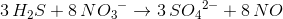 3\, H_{2}S+8\, N{O_{3}}^-\rightarrow 3\, S{O_{4}}^2^-+8\, NO