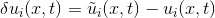\delta u_i(x,t) = \tilde{u}_i(x,t) - u_i(x,t)