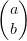 \begin{pmatrix}{a \\b}\end{pmatrix}