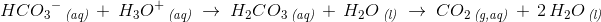 \! \! \! \! \! \! \! \! \! \! \! \! HC{O_3}^{-}\, _{\textit{(aq)}}\; +\; H_3O^+\, _{\textit{(aq)}}\; \rightarrow \; H_2C{O_3}\, _{\textit{(aq)}}\; +\; H_2O\, _{\textit{(l)}}\; \rightarrow \; CO_2\, _{\textit{(g,aq)}}\; +\; 2\, H_2O\, _{\textit{(l)}}