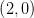 \left ( 2,0 \right )