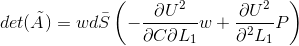 det(\tilde{A})= wd\bar{S} \left( - \frac{\partial U^2}{\partial C \partial L_1}w + \frac{\partial U^2}{\partial^2 L_1}P \right)