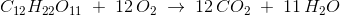 C_{12}H_{22}O_{11}\; +\; 12\, O_2\; \rightarrow \; 12\, CO_2\; +\; 11\, H_2O