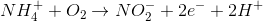 NH_{4}^{+}+O_{2}\rightarrow NO_{2}^{-}+2e^-+2H^+