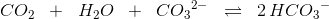 CO_2\; \; +\; \; H_2O\; \; +\; \; C{O_{3}}^{2-}\; \; \rightleftharpoons \; \; 2\, HC{O_{3}}^{-}