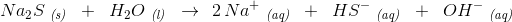 Na_2S\; _{\textit{(s)}}\; \; +\; \; H_2O\; _{\textit{(l)}}\; \; \rightarrow \: \: 2\, Na^+\; _{\textit{(aq)}}\; \; +\; \; HS^-\; _{\textit{(aq)}}\; \; +\; \; OH^-\; _{\textit{(aq)}}}