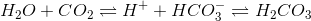 H_2O+CO_2\rightleftharpoons H^++HCO_3^-\rightleftharpoons H_2CO_3