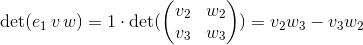\det(e_1\, v\, w) = 1 \cdot \det(\begin{pmatrix} v_2 & w_2 \\ v_3 & w_3 \end{pmatrix}) = v_2w_3 - v_3w_2