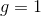 g=1