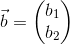 \vec{b}=\begin{pmatrix} b_1\\ b_2 \end{pmatrix}