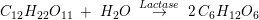 \small C_{12}H_{22}O_{11}\; +\; H_2O\; \overset{Lactase}{\rightarrow} \; 2\, C_6H_{12}O_6