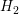 \small H_2