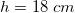 \small h=18\; cm