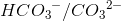 HC{O_3}^-/C{O_3}^{2-}