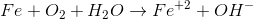 Fe+O_2+H_2O\rightarrow Fe^+^2+OH^-