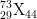 _{29}^{73}\textrm{X}_{44}