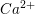 \small Ca^{2+}