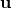 \bold{u}