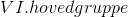 VI. hovedgruppe