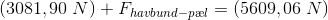\! \! \! \! \! \! \! \! \! \! \!(3081,90\; N)+F_{havbund-p\ae l}=(5609,06\; N)