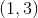 \left ( 1,3 \right )