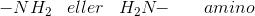 -NH_2\; \; \; eller\; \; \; H_2N\! \! -\; \; \; \; \; \; amino