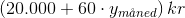 \left (20.000 +60\cdot y_{m\aa ned} \right )kr