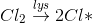 Cl_{2}\overset{lys}{\rightarrow} 2 Cl*
