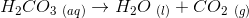 H_2CO_3_{\ (aq)} \rightarrow H_2O_{\ (l)}+CO_{2\ (g)}
