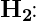 \mathbf{H_2}\! \! :