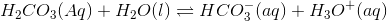 H_2CO_3 (Aq)+H_2O (l) \rightleftharpoons HCO_3^-(aq)+H_3O^+ (aq)